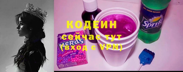 крисы Вязьма