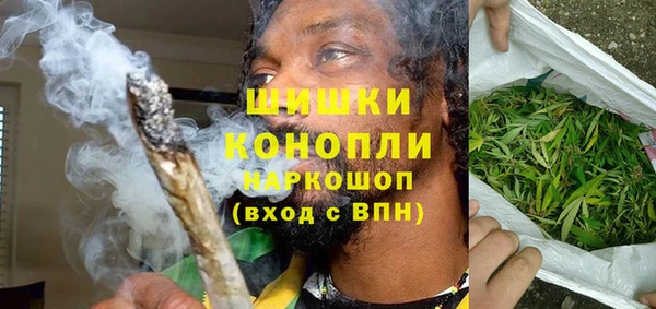 крисы Вязьма