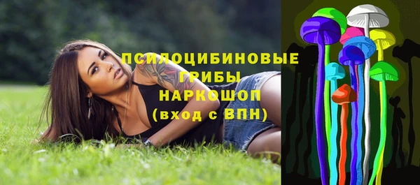 крисы Вязьма